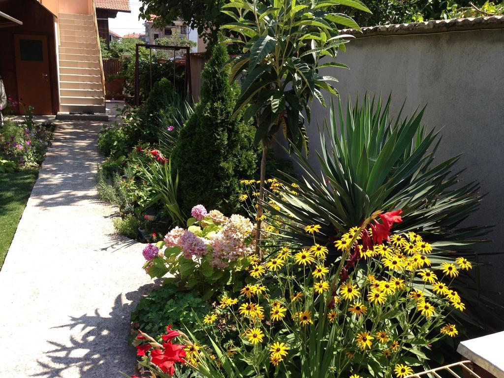 צ'רנומורץ Chervenkov Guest House מראה חיצוני תמונה