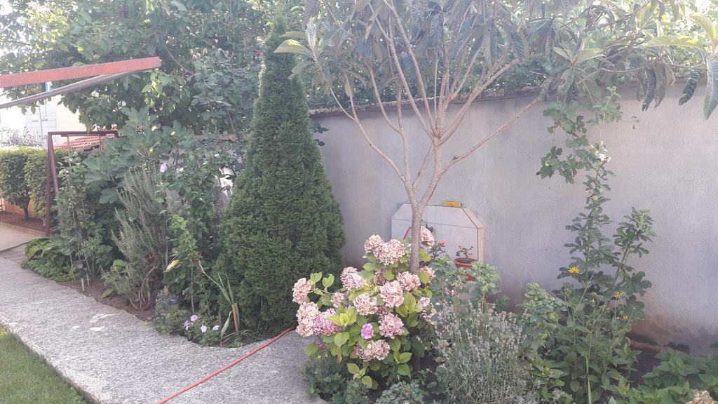 צ'רנומורץ Chervenkov Guest House מראה חיצוני תמונה