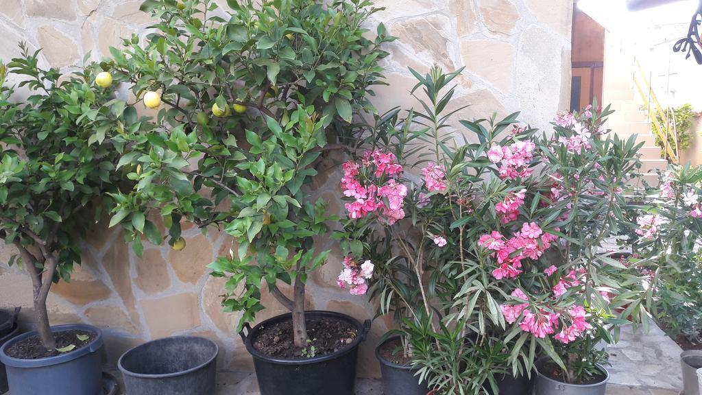 צ'רנומורץ Chervenkov Guest House מראה חיצוני תמונה
